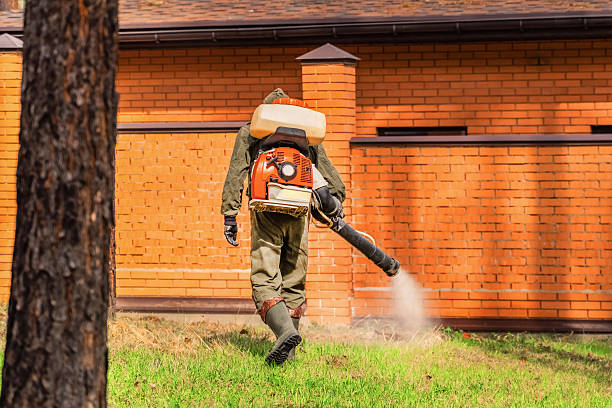 Trusted Bed Bug Control service in Hallsville, TX - Nex Pest Control